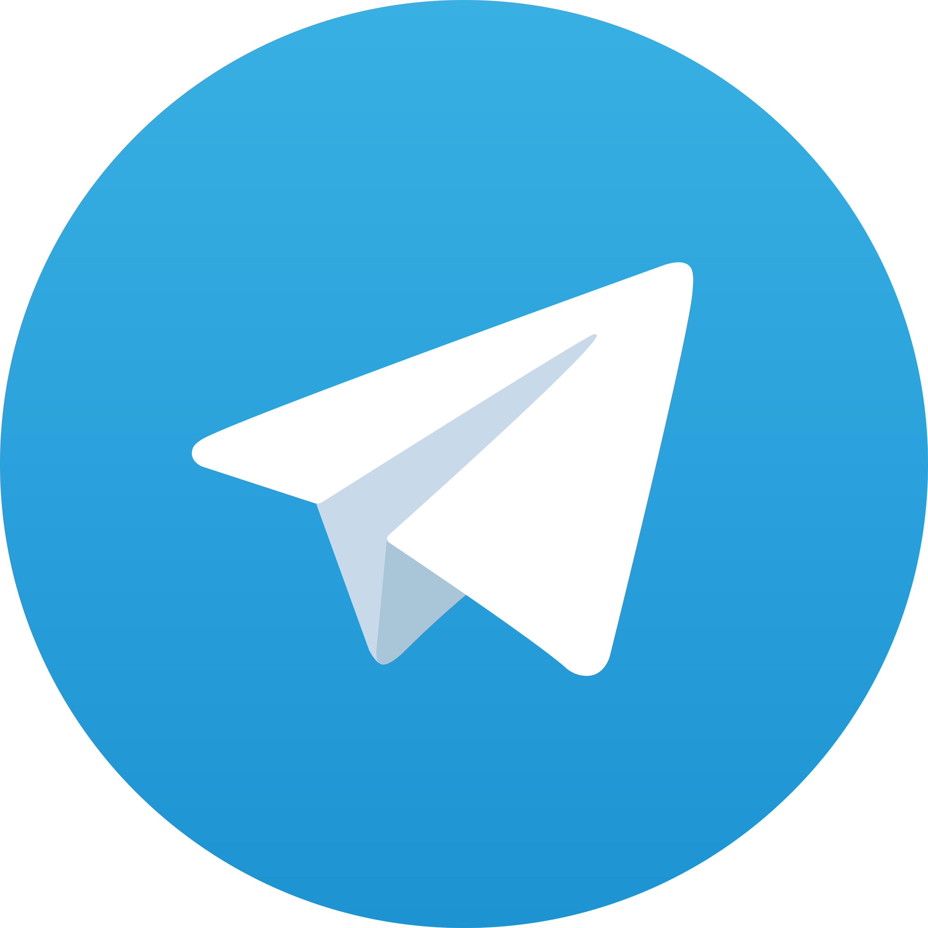 Telegram Queen389